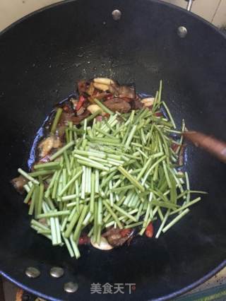 泥蒿炒腊肉的做法步骤：6
