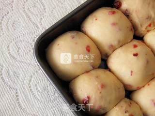 蔓越莓餐包的做法步骤：8