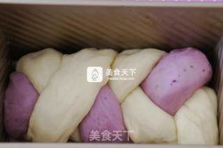 双色吐司的做法步骤：6