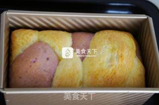 双色吐司的做法步骤：8
