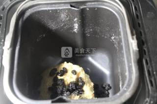 全麦蓝莓面包的做法步骤：4