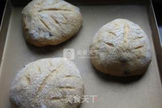 全麦蓝莓面包的做法步骤：10