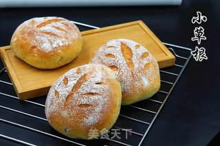 全麦蓝莓面包的做法步骤：14