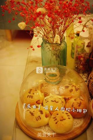 喵星人小排包的做法步骤：1