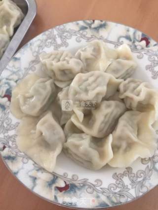 饺子——蒜苔和肉的搭配的做法步骤：7