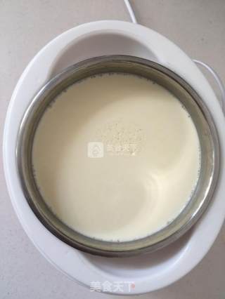 生鲜牛奶做的酸奶的做法步骤：19