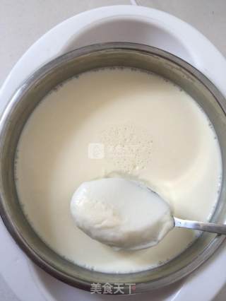 生鲜牛奶做的酸奶的做法步骤：20