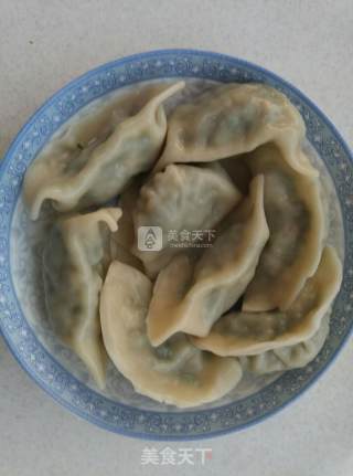 灰灰菜水饺的做法步骤：5