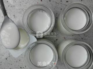 简单自制酸奶的做法步骤：2