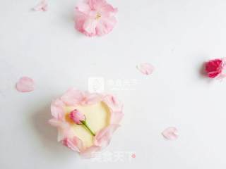 清凉酸奶慕斯蛋糕的做法步骤：8