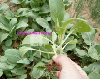 蒜香鸡毛菜的做法步骤：1