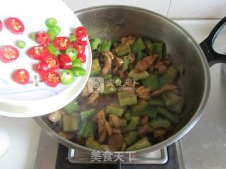 豉椒苦瓜炒鸡肉的做法步骤：9