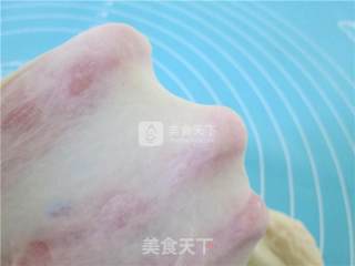 淡奶玫瑰花面包的做法步骤：2