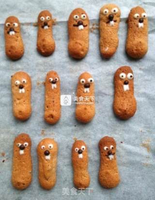 打地鼠可可燕麦饼干的做法步骤：13