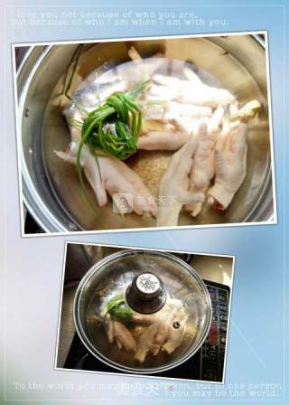 酒糟凤爪的做法步骤：2