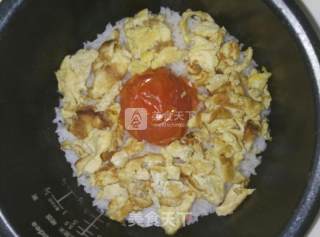 西红柿鸡蛋饭的做法步骤：5