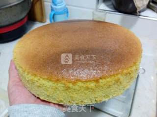 经典全蛋海绵蛋糕的做法步骤：15