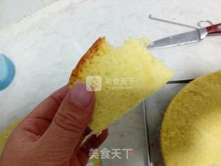 经典全蛋海绵蛋糕的做法步骤：17