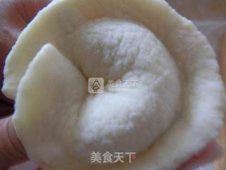 烤茴香元宝的做法步骤：6