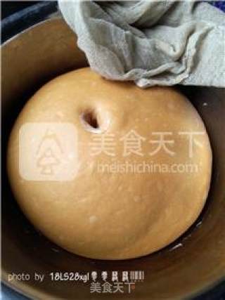【致女性：美容养颜还补气血的小餐包】红糖餐包的做法步骤：4