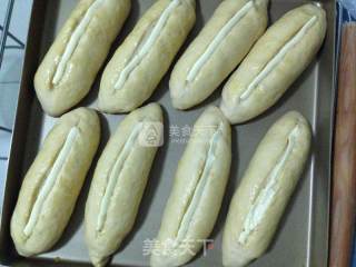 小麦胚芽餐包的做法步骤：9