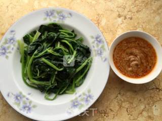 芝麻酱拌菠菜的做法步骤：8