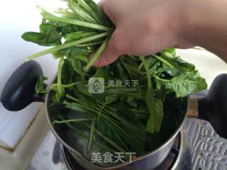 炝菠菜的做法步骤：2