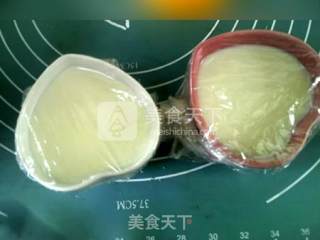 蒸酥酪的做法步骤：5