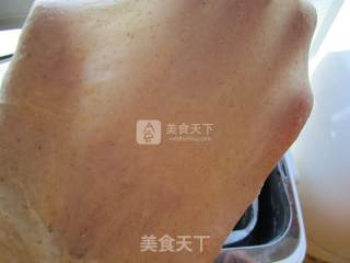 蒜香手撕面包的做法步骤：5