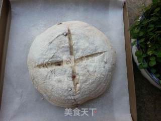 外酥内软香浓蔓越莓欧的做法步骤：8