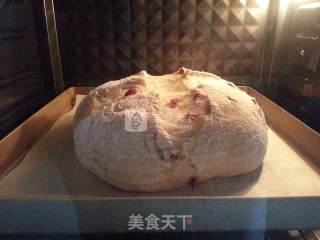 外酥内软香浓蔓越莓欧的做法步骤：9