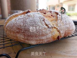 外酥内软香浓蔓越莓欧的做法步骤：11