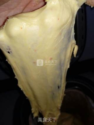 汤种南瓜豆沙面包的做法步骤：5