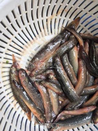 泥鳅茨实煲淮山的做法步骤：5