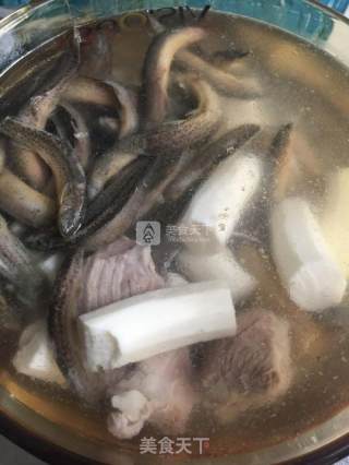 泥鳅茨实煲淮山的做法步骤：12