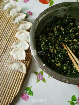 韭菜鸡蛋虾仁饺儿的做法步骤：3