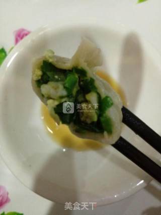 韭菜鸡蛋虾仁饺儿的做法步骤：5