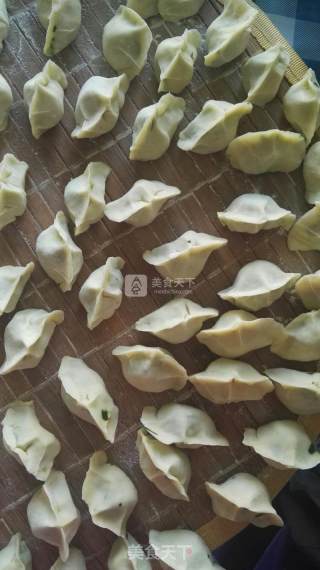 苜蓿饺子的做法步骤：6
