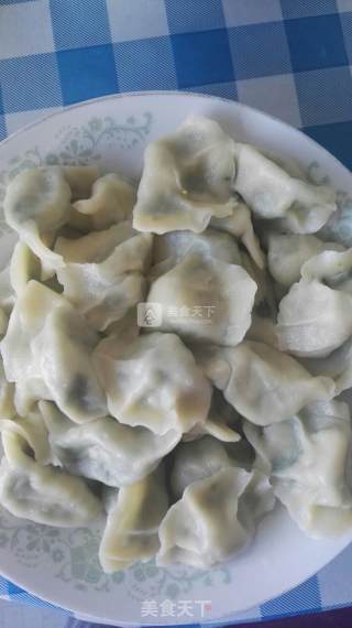 苜蓿饺子的做法步骤：7
