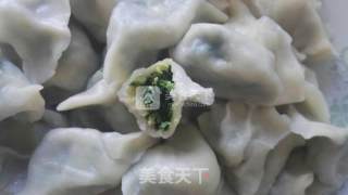 苜蓿饺子的做法步骤：8