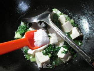 君叠菜煮豆腐的做法步骤：6