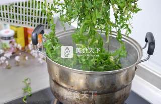 香菇酱荠菜饺子的做法步骤：4