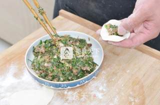 香菇酱荠菜饺子的做法步骤：9
