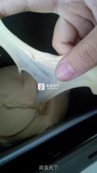 玉米面吐司的做法步骤：5