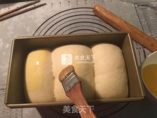 原味吐司（手揉版）的做法步骤：20