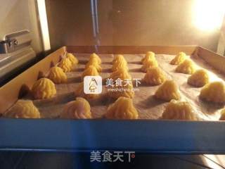 卡仕达泡芙的做法步骤：10