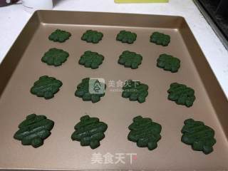 抹茶曲奇的做法步骤：9