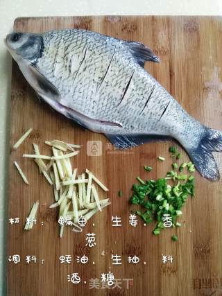 家常菜 - 清蒸鳊鱼的做法步骤：1