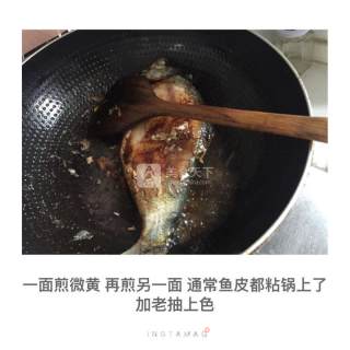 红烧鳊鱼的做法步骤：3