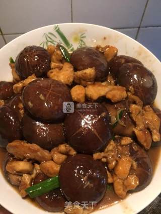 鲜菇鸡肉的做法步骤：5